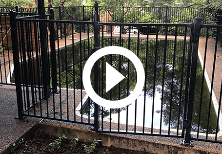 Wollstonecraft video 